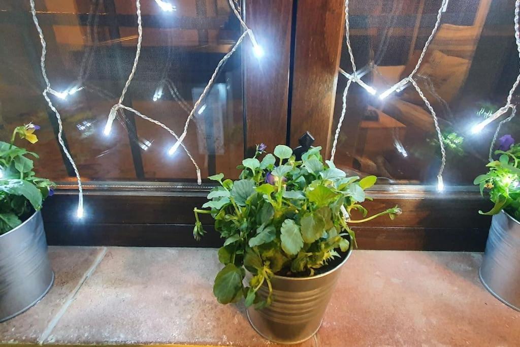 Apartamento Sefardi, Barrio Judio De Hervás מראה חיצוני תמונה